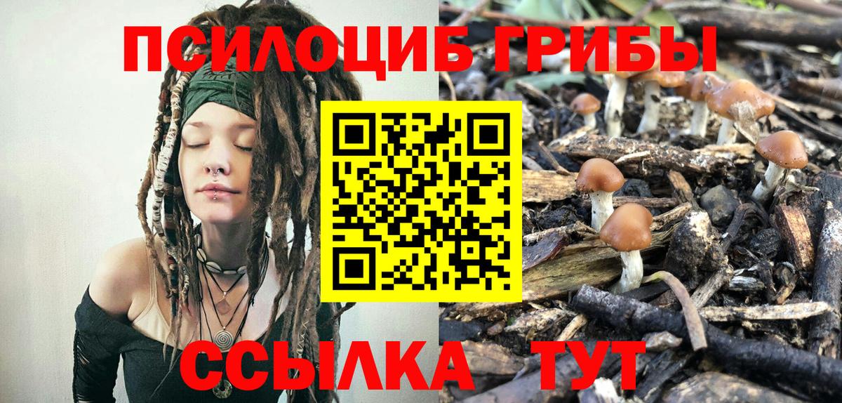 Псилоцибиновые грибы мухоморы  Вход с VPN  Благовещенск 